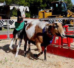 Kings Fair 2009